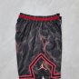 Jordan B-6 Lightning Plum Red Ball Pants