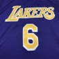 Lakers 6 purple round neck