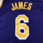 Lakers 6 purple round neck