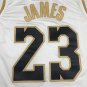 Lakers 23 Platinum Edition