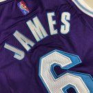 Lakers No. 6 James City Purple XS-XXL Full Size