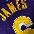 Lakers No. 6 James Retro Purple XS-XXL
