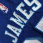 Lakers No. 23 James Retro Blue XS-XXL