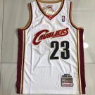 Mitchell&Ness Knight No. 23 James White 03-04 Fully Embroidered XS-XXL