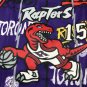 Raptors 15 Graffiti