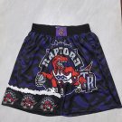 Raptors purple heat transfer pocket ball pants