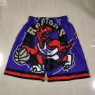 Raptors Purple Mitchell&Ness Pocket Ball Pants