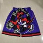 Raptors Purple Mitchell&Ness Pocket Ball Pants