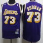Retro Lakers No. 73 Rodman Purple