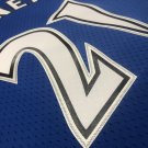 #21 Kevin Garnett Wolves 2003-04 M&N jersey blue ()