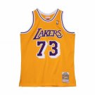 #73 Dennis Rodman Los Angeles Lakers 1998-99 M&N jersey  ()