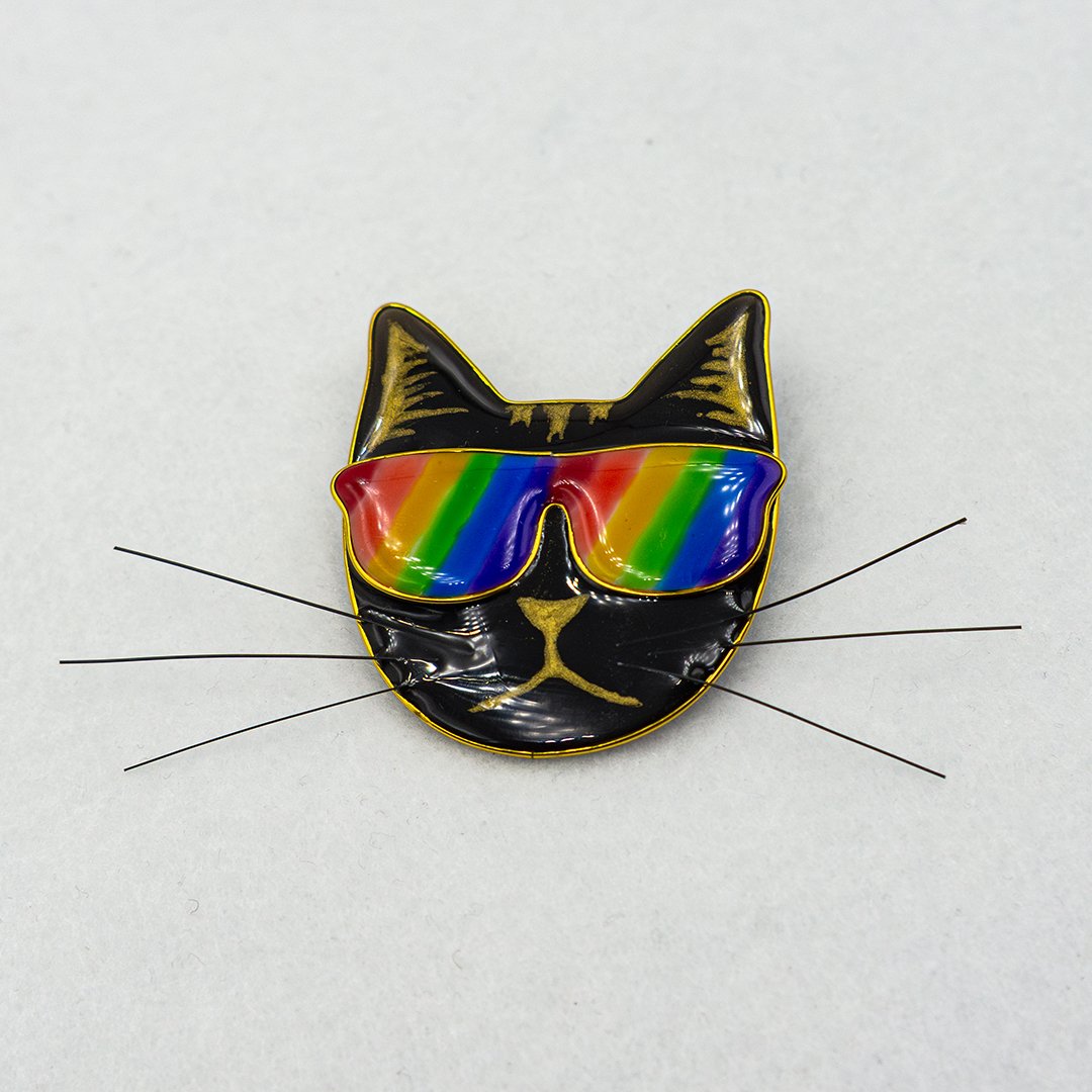 Rainbow pride resin cat pin 001