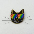 Rainbow pride resin cat pin 001