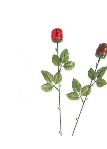 1x Red Chocolate Rose