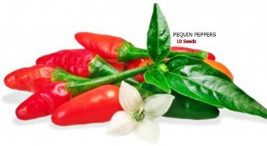 Pequin Pepper Seeds (40 Seeds)