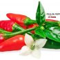 Pequin Pepper Seeds (40 Seeds)