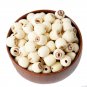 Chinese Herbal Dried Premium Dried / White Lotus Seed 8oz