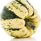 SWEET DUMPLING WINTER SQUASH GARDEN SEEDS - HEIRLOOM, NON-GMO - VEGETABLE SWEET DUMPLING WINTER SQUASH GARDEN SEEDS - HEIRLOOM, NON-GMO - VEGETABLE