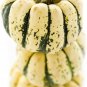 SWEET DUMPLING WINTER SQUASH GARDEN SEEDS - HEIRLOOM, NON-GMO - VEGETABLE