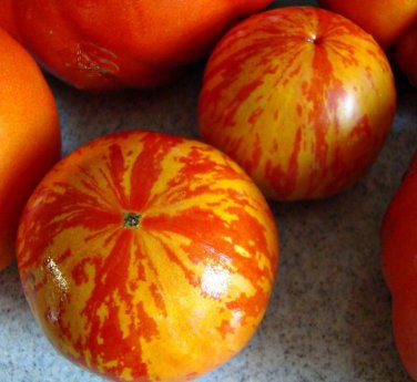 20 Zebra Cherry Tomato Seeds