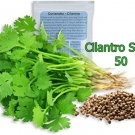 50 Cilantro Seeds, Slow Bolt, Non GMO Fresh Garden Seeds 50 Cilantro Seeds, Slow Bolt, Non GMO Fresh Garden Seeds