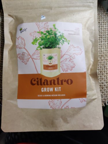 Buzzy-Cilantro Grow Kit - Grow Your Own Kit! In A Bag