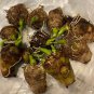 (3) Taro Root Elephant Ear Bulbs