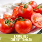 25 CHERRY TOMATO - LARGE RED SEEDS HEIRLOOM NON-GMO FRESH US SELLER SHIPS FAST 25 CHERRY TOMATO - LARGE RED SEEDS HEIRLOOM NON-GMO FRESH US SELLER SHIPS FAST