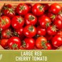 25 CHERRY TOMATO - LARGE RED  SEEDS HEIRLOOM NON-GMO FRESH US SELLER SHIPS FAST