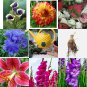 9 Mixed Flower Lots of BULBS -CLEARANCE!!