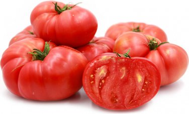 10 RED BRANDYWINE TOMATO SEEDS INDETERMINATE  NON-GMO FRESH US SELLER