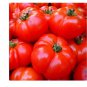 10 RED BRANDYWINE TOMATO SEEDS INDETERMINATE  NON-GMO FRESH US SELLER