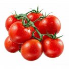 120 Large Cherry Tomato Seeds - Tomato seeds - Non GMO - USA Grown 120 Large Cherry Tomato Seeds - Tomato seeds - Non GMO - USA Grown