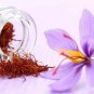 5 -Saffron Crocus Bulbs (Xplosionseeds)
