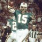 Earl Morrall Miami Dolphins Football Mitchell & Ness Jersey
