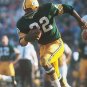 Elijah Pitts 1969 Green Bay Packers Jersey