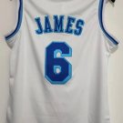 LeBron James #6 Los Angeles Lakers Classic Authentics