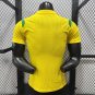 2026 Brazil Academy Pro Yellow Player Version Soccer Jersey