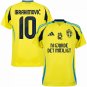 Adidas Sweden Home Shirt incl. Ni Gjorde De M&Atilde;&para;jligt Ibrahimovi&Auml;� 10 Special 2024-25