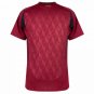 Belgium Home Jersey 2024-2025