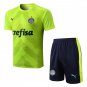 Palmeiras Crefisa Sets 2223 High Quality Palmeiras Tracksuits