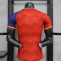 Spain 2024 Special Men Jersey