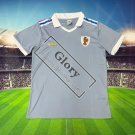 Picture version  France grey 26-27 thai quality