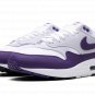 Air Max 1 SC "Field Purple"