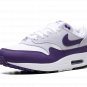 Air Max 1 SC "Field Purple"