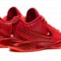 LeBron 21 "James Gang"