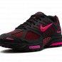 Air Pegasus 2K5 "Fierce Pink"