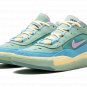 SB Air Max Ishod Wair "Verdy Visty"