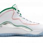 Air Jordan 10 "Wings"