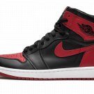 Air Jordan 1 Retro High OG "Bred Banned 2016"